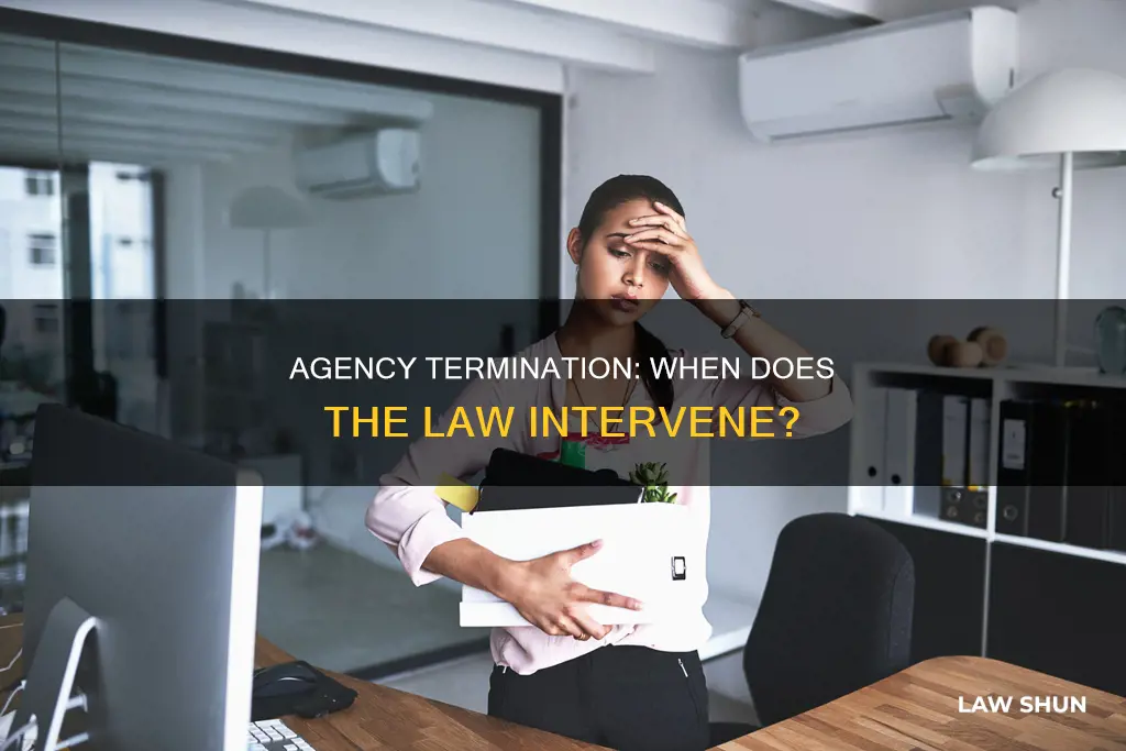 when can an agency relationship terminate by operation of law