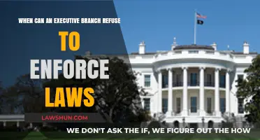 Executive Power: When Can Laws Be Ignored?