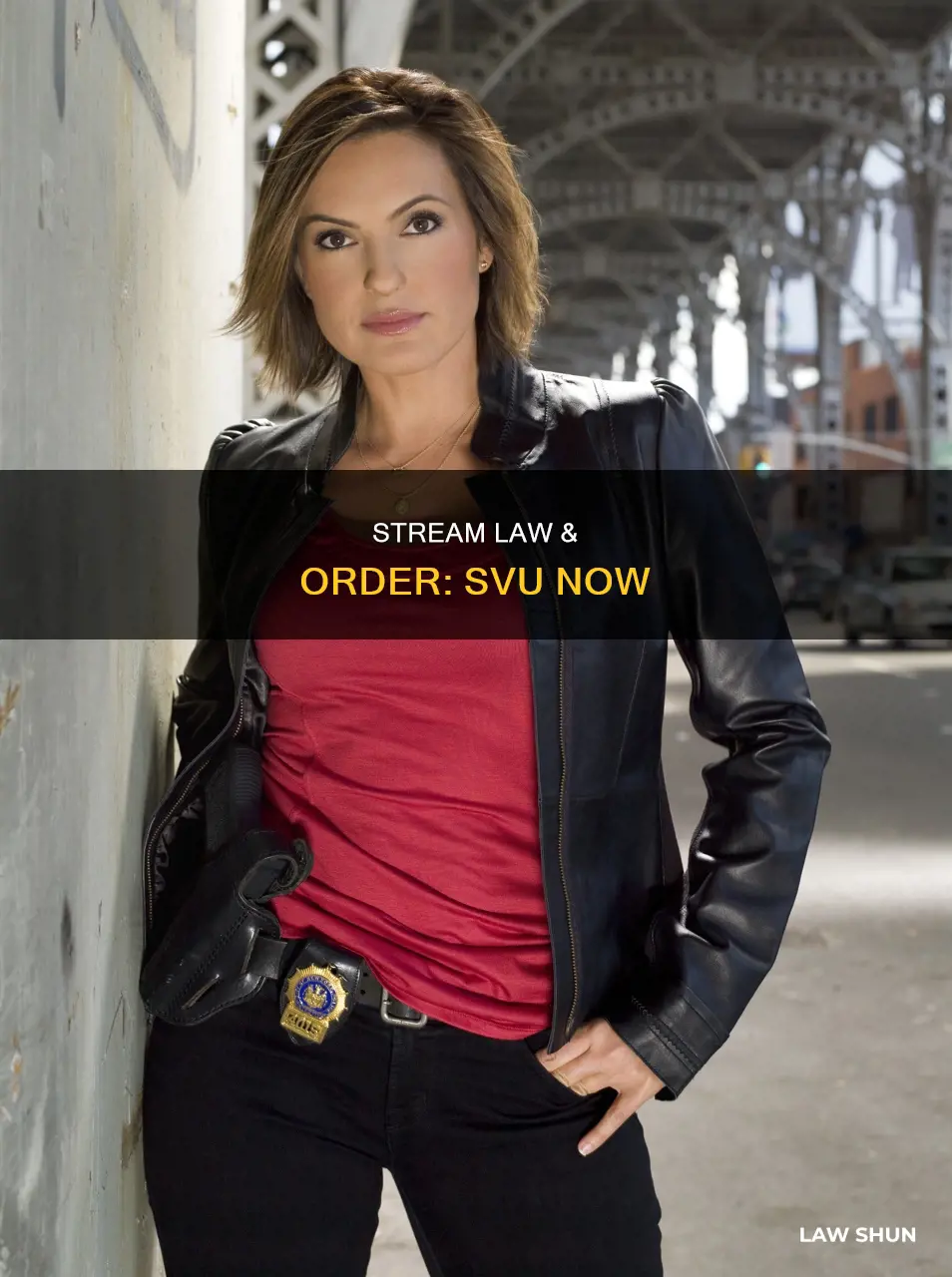 when can i start law and order svu