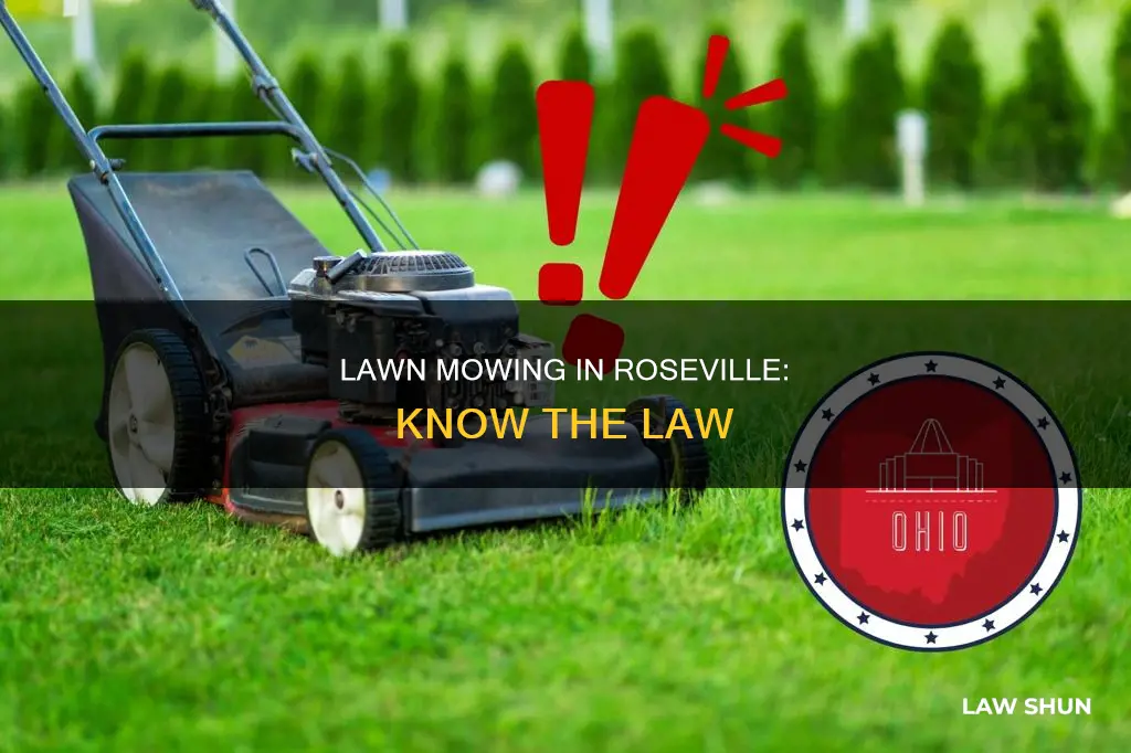 when can i use my lawn mower law roseville michigan