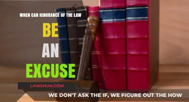 Ignorance of the Law: When Can It Be an Excuse?