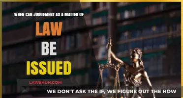 When Can a Court Issue a Judgment as a Matter of Law?