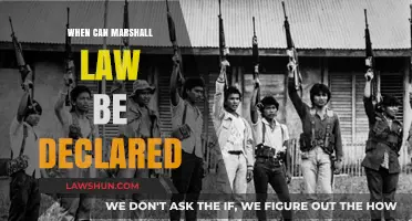 Martial Law: When Can It Be Enacted?