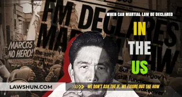 Martial Law: When Can It Be Declared in the US?