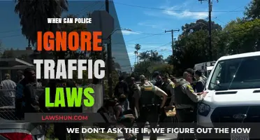 Traffic Laws: When Police Can Ignore Them