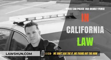 Deadly Force: When Can California Police Use It?