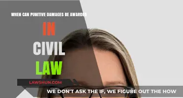 Punitive Damages: When Civil Law Allows Punishment