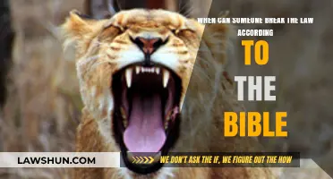 Biblical Justification for Lawbreaking
