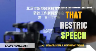 Free Speech vs. Law: When Can Governments Restrict Expression?