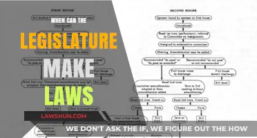 Legislative Power: Laws and Limits