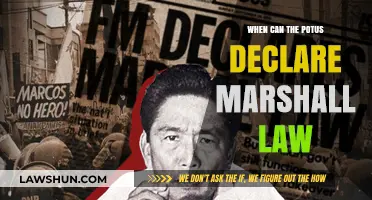 Understanding POTUS' Power: Declaring Martial Law
