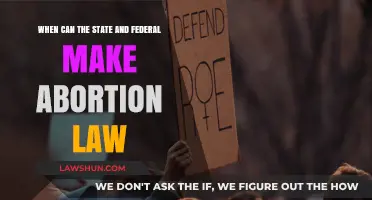 Abortion Laws: State vs Federal Powers