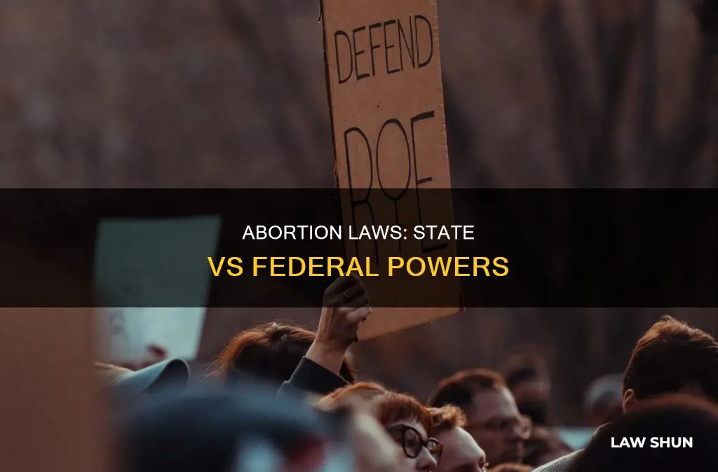 when can the state and federal make abortion law