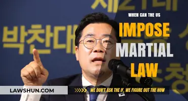 Martial Law: When Can the US Implement It?
