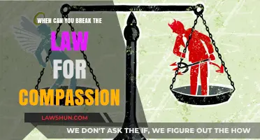 Can Compassion Justify Breaking the Law?