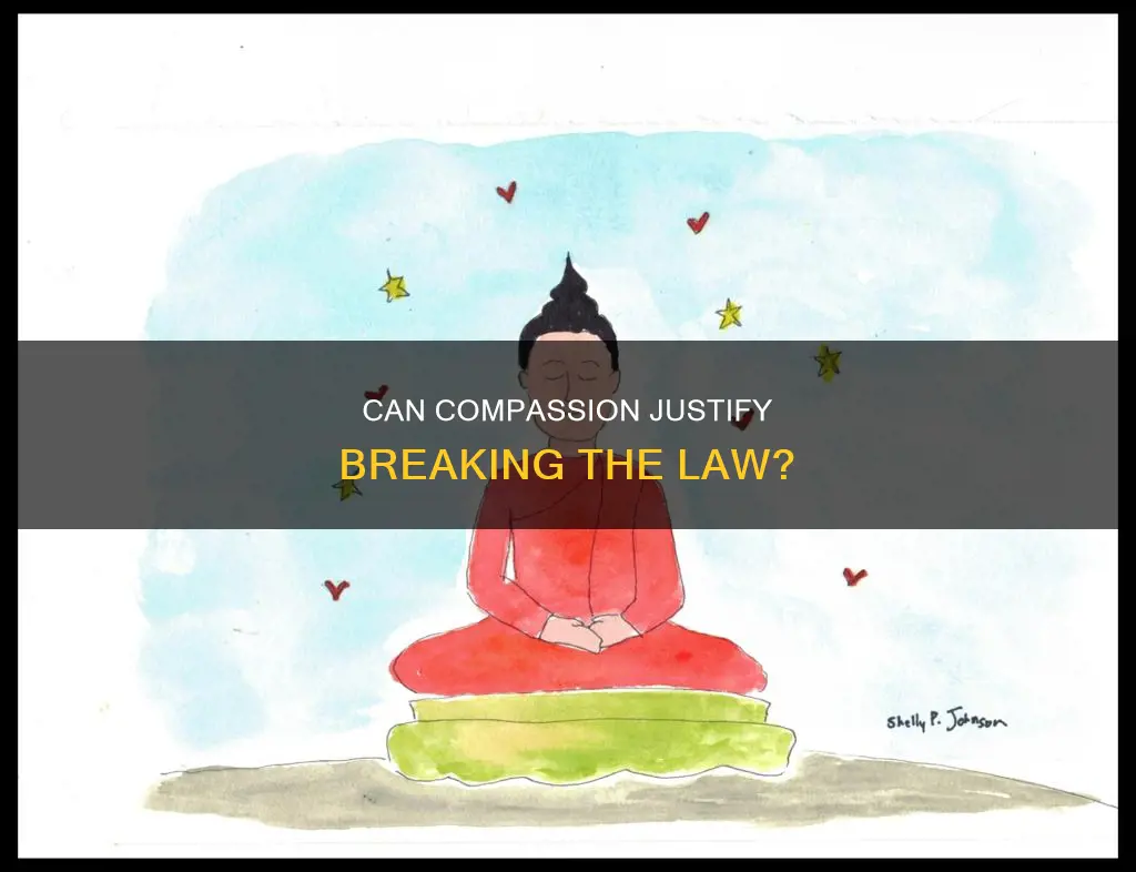 when can you break the law for compassion