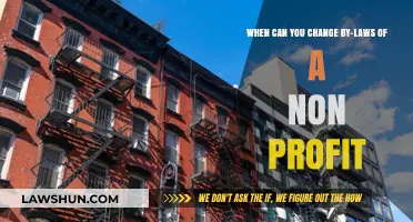 Amending Non-Profit Bylaws: When and Why?