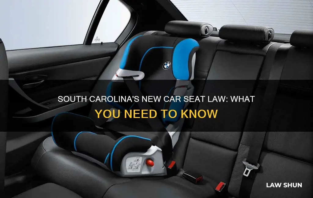 when car seats become law in sc