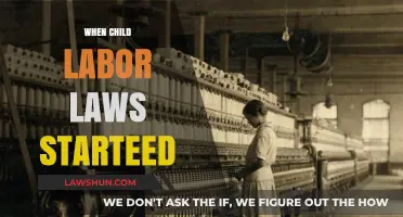 The Origins of Child Labor Laws: A Historical Perspective