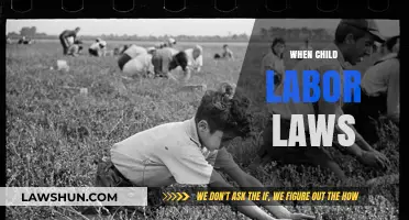 Understanding Child Labor Laws: Protecting Young Workers' Rights and Future