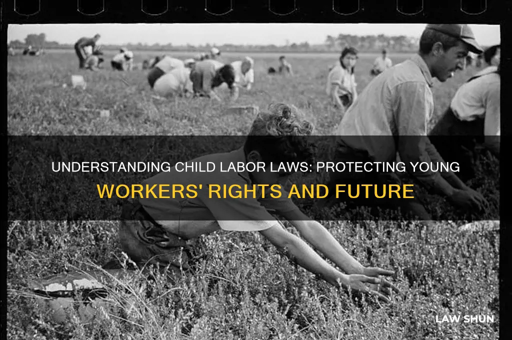 when child labor laws