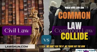 Civil vs Common Law: A Collision Course