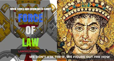 Understanding Legal Authority: When Codes and Ordinances Become Binding Law