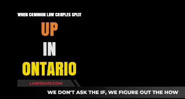 Understanding Your Rights When Common-Law Couples Split in Ontario