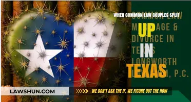 Texas Common-Law Couples: Know Your Rights