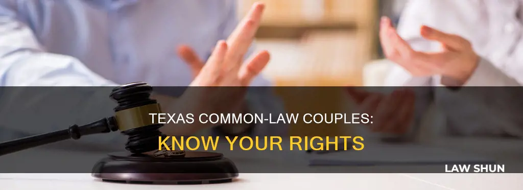 when common law couples split up in texas