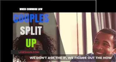 Common-Law Couples: Navigating Separation