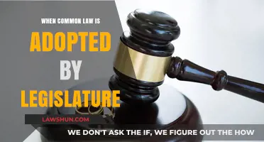 Adopting Common Law: The Legislature's Role