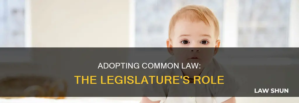when common law is adopted by legislature
