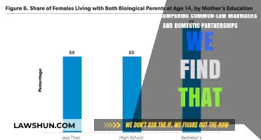 Differences Between Common-Law Marriages and Domestic Partnerships