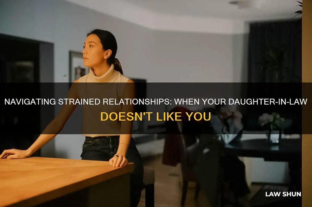 when daughter in law doesn