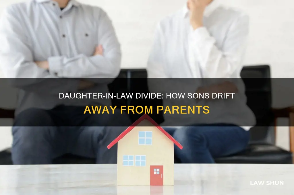 when daughter in law turns son against you