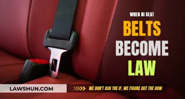 The Evolution of Seat Belt Laws: When Did They Begin?