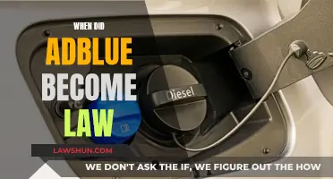 AdBlue: The Law and Its Implementation