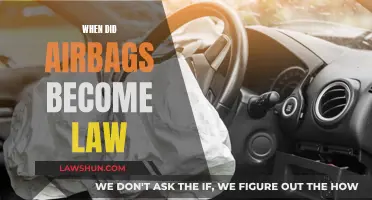 Airbags: Mandatory Safety Features and Their History