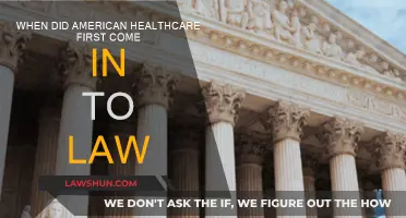 American Healthcare: A Historical Overview