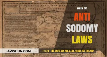 The Evolution of Anti-Sodomy Laws: A Historical Overview