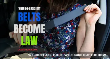 The Evolution of Back Seat Belt Laws