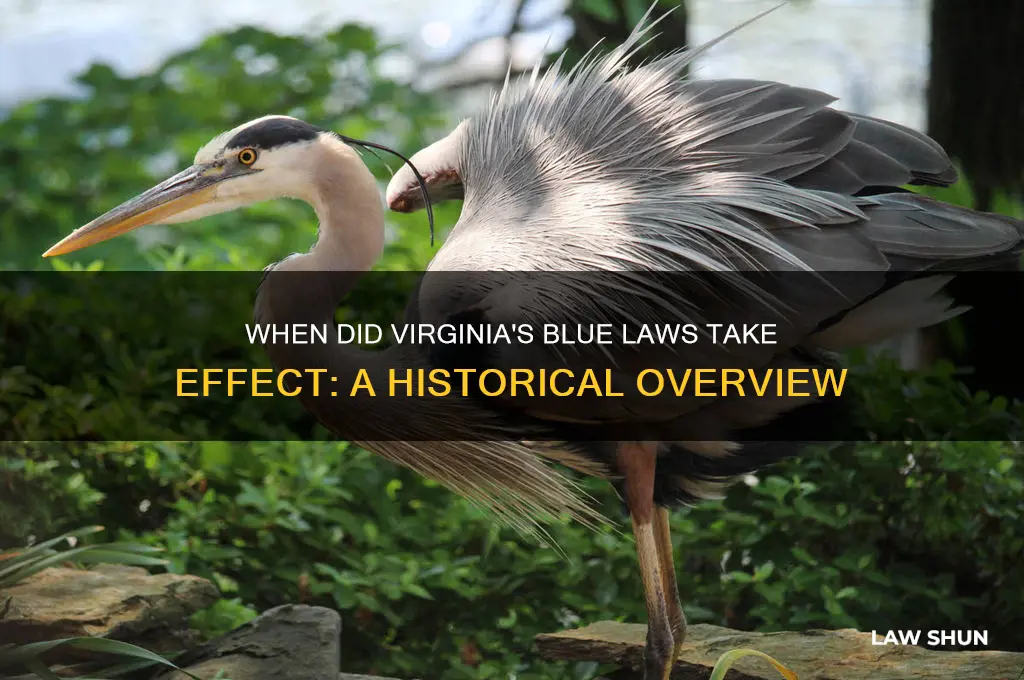 when did blue law take affect in va