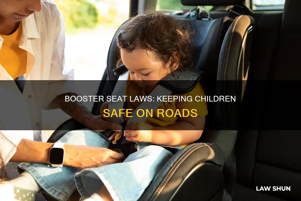 when did booster seats become law