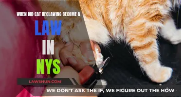 The Battle Against Cat Declawing: NYS Law Explained