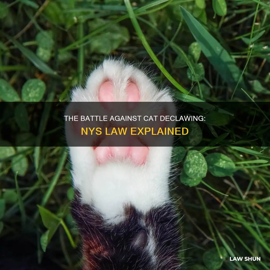 when did cat declawing become a law in nys