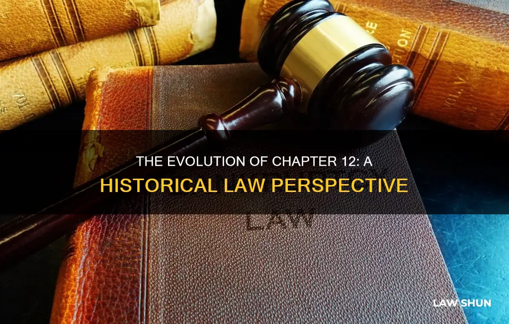 when did chapter 12 become law