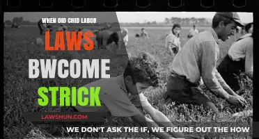 The Evolution of Strict Child Labor Laws: A Historical Overview