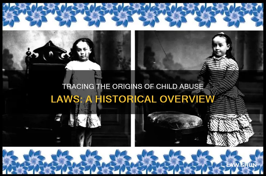 when did child abuse laws begin