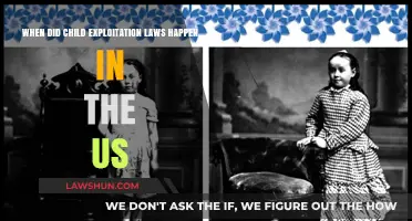 Tracing the Evolution of US Child Exploitation Laws: Key Milestones